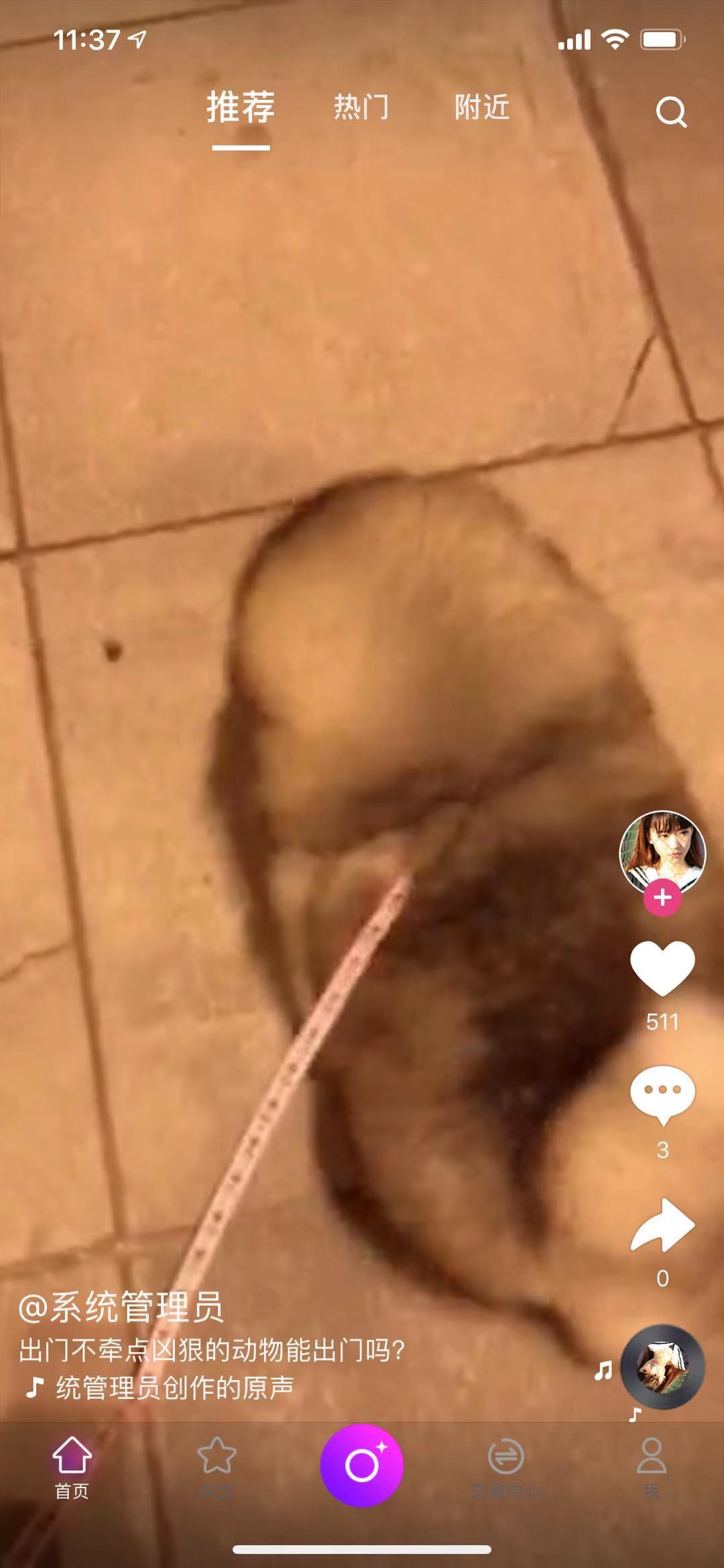 观看短视频